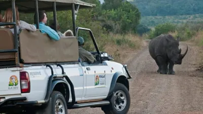 CS Elite Tours and Safari Packages